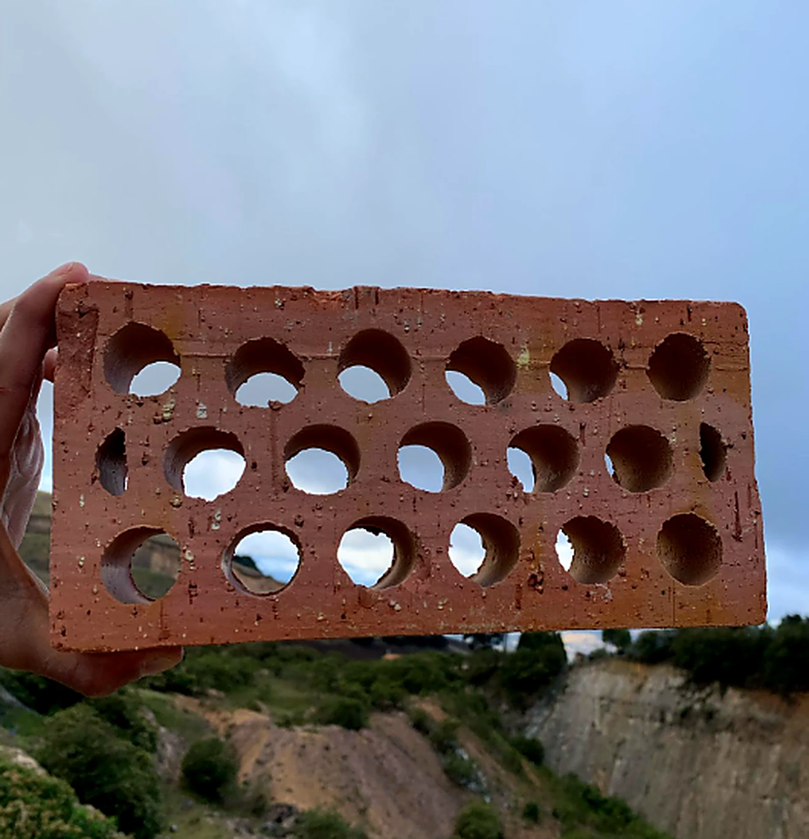 Ladrillo Colmena 25 × 12 × 6 cm